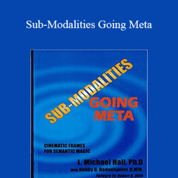 $5 for Michael Hall and Bob Bodenhamer - Sub-Modalities Going Meta Course