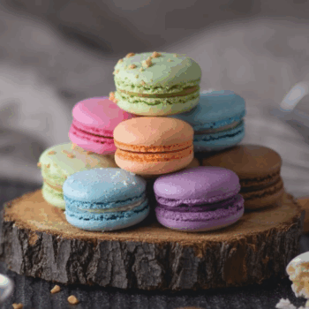 $49 for Online Macaron Class - Nat MendonÃ§a Course