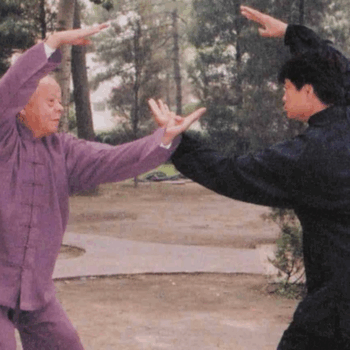 $29 for Healing Without Medicines: Daoyin Practices of Yin Style Bagua - Xie Pieqi Course