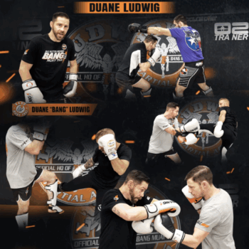 $19 for Dynamic Striking Defense - Duane Ludwig Course