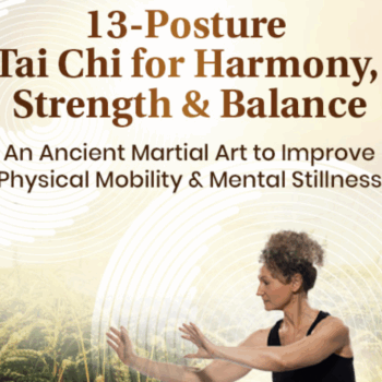 $64 for 13-Posture Tai Chi for Harmony