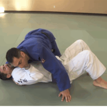 $17 for Brown Belt Requirements - Roy Dean Course