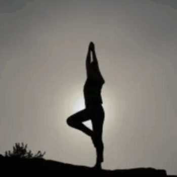 $27 for Walking Belief Change Pattern - Robert Dilts & Robert McDonald Course