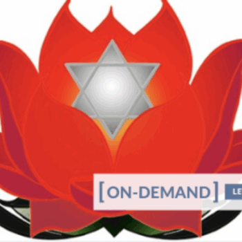 $69 for On-Demand Meditation Level 1 Course - Gregor Maehle Course