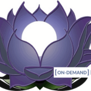 $59 for On-Demand Meditation Level 2 Course - Gregor Maehle Course