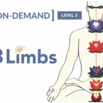 $59 for On-Demand Meditation Level 3 Course - Gregor Maehle Course