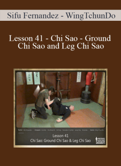 $11 for [Download Now] Sifu Fernandez â€“ WingTchunDo â€“ Lesson 41 â€“ Chi Sao â€“ Ground Chi Sao and Leg Chi Sao Course
