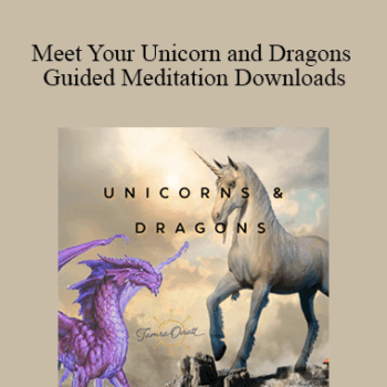 $17 for Tamra Oviatt - Meet Your Unicorn and Dragons Guided Meditation Downloads Course